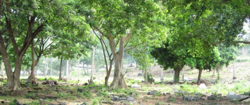 Les cimetières à M'tsangamouji